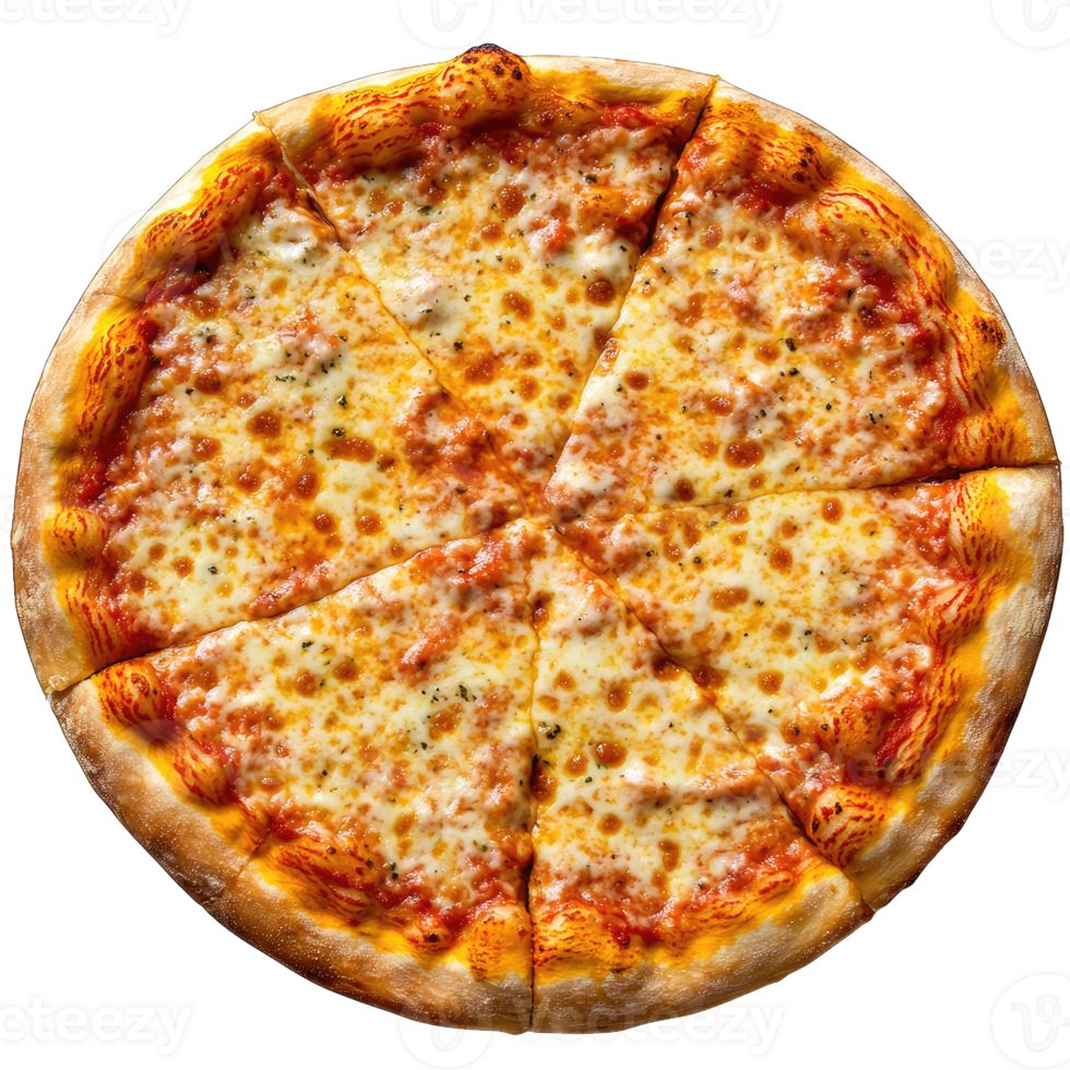 10"  Vegetarian pizza